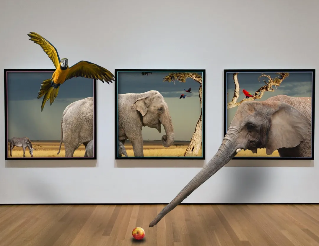 艺术治疗：画画、跳舞、写诗，也能治愈心灵？