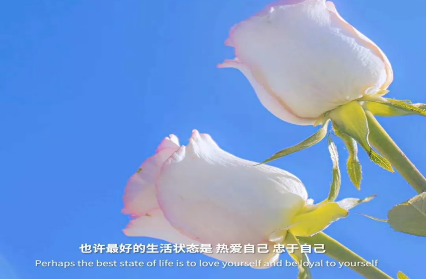 失去了被爱的能力，会有多可怕？